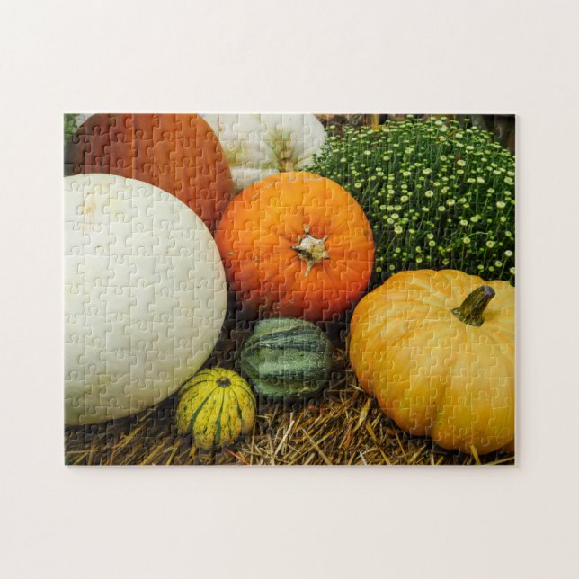 Pumpor och gourder pussel (Horisontell)