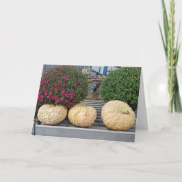 Pumpor och höstblad i Morsa Kort