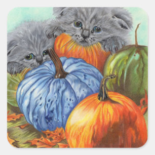 Pumpor och Kittens klistermärken