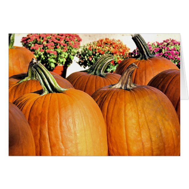 Pumpor och Morsa Hälsningskort (Framsidan Horizontal)