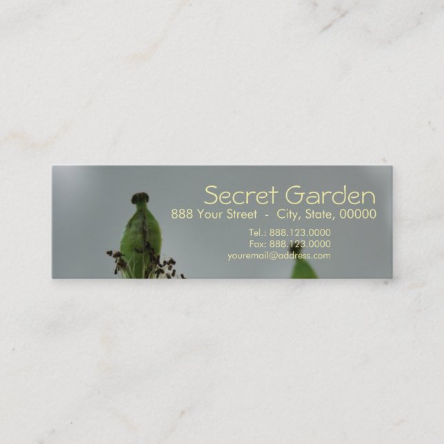 Pumpor och skuggor (5) mini visitkort (Framsida)