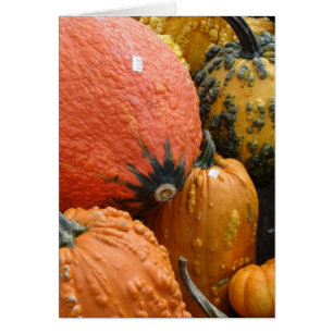 Pumpor och Squash Hälsningskort