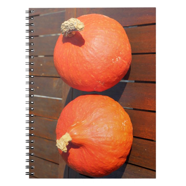 Pumpor på bord anteckningsbok (Framsidan)