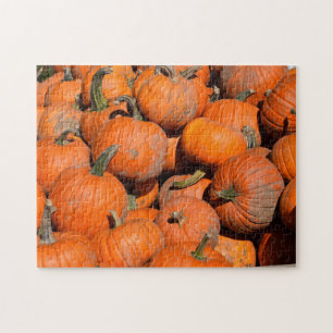 Pumpor, Pumpkins, Pumpkins - 11x14 - 252 pcs. Pussel