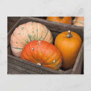 Pumpor till försäljning vykort