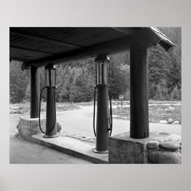 Pumps för antändlig synlig gas poster (Framsidan)