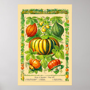 Pumsvarieteter Retro Viktoriansk Tid Botanisk Kons Poster