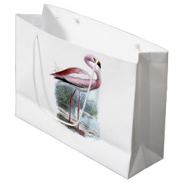 Puna Flamingo Vintage Illustration