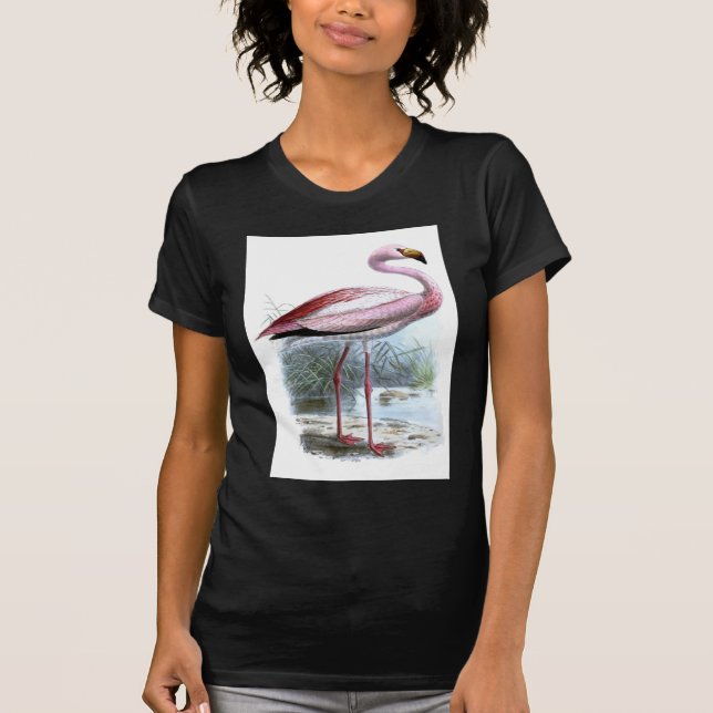 Puna Flamingo Vintage Illustration T-shirt (Framsida)