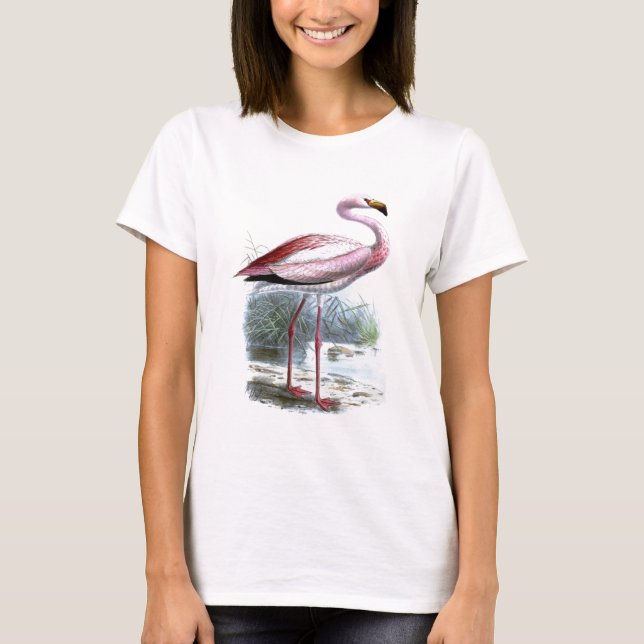 Puna Flamingo Vintage Illustration Tee Shirt (Framsida)