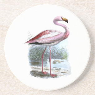 Puna Flamingo Vintage Illustration Underlägg