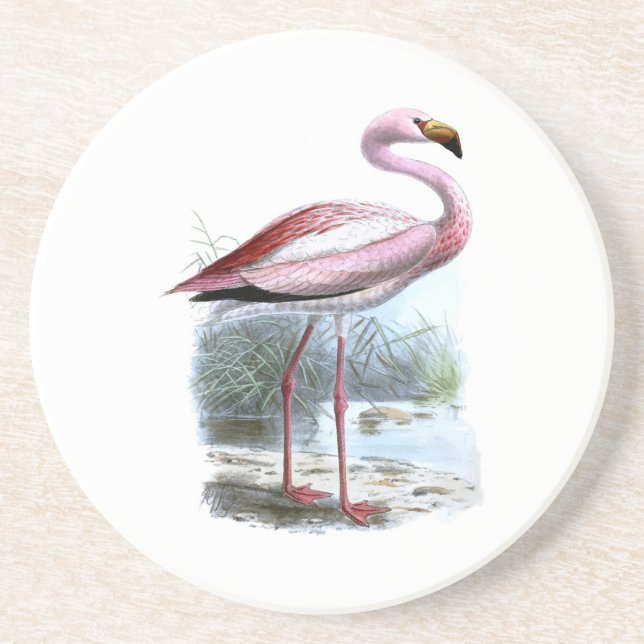 Puna Flamingo Vintage Illustration Underlägg (Framsidan)