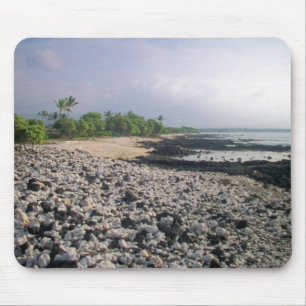 Punalu u Black Sand Beach Hawaii Big Island Musmatta