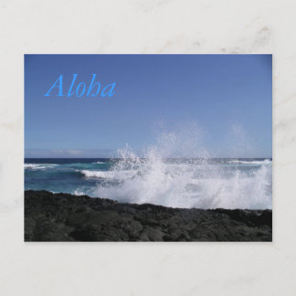 Punalu'u Beach Vykort