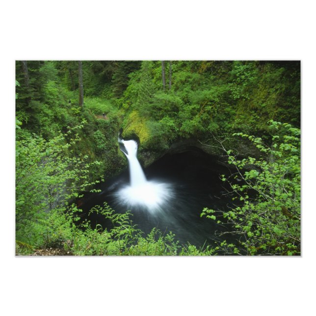 Punchbowl Falls på Eagle Creek, Columbia River Fototryck (Framsidan)