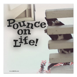 Punga på Life Motivational Kattunge Slogan Perfect Poster