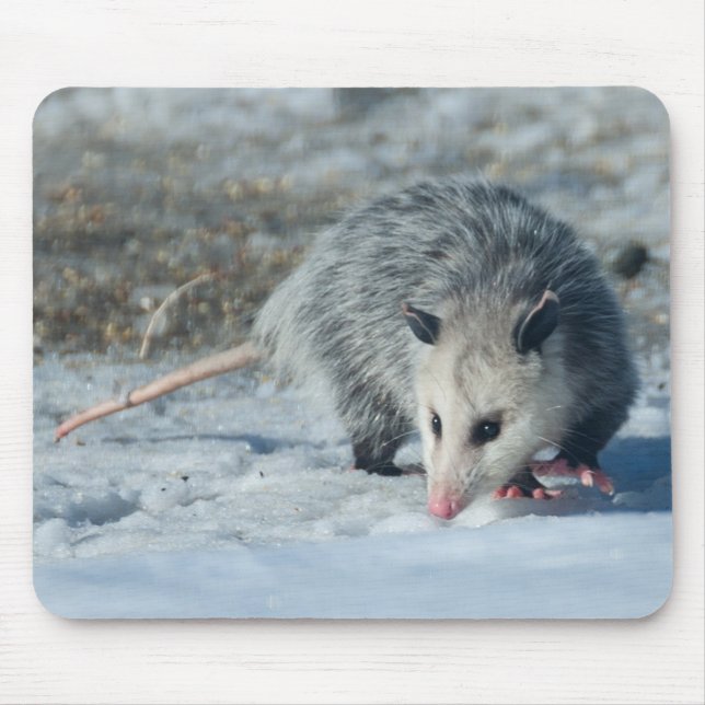 Pungråtta Mousepad Musmatta (Framsidan)