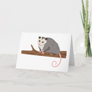 Pungråtta på gren kort