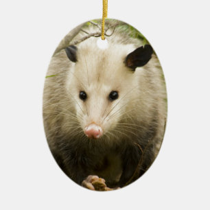 Pungråttor är nätt - pungråttan Didelphimorphi Julgransprydnad Keramik