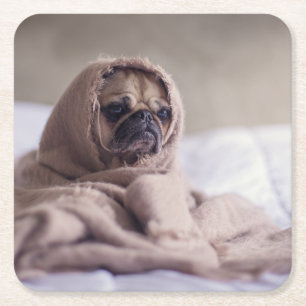Pungvalp Hund Cuddling i en varm handduk Blanket Underlägg Papper Kvadrat