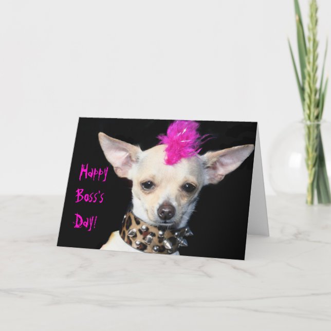 Punk Chihuahua Lycklig chef s hälsningskort på dag Kort (Framsida)