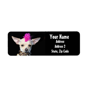Punk Chihuahuaadressetiketter Returadress Etikett