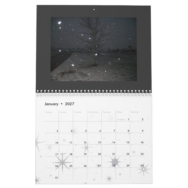 Punk fotografi 2009 kalender (Jan 2027)