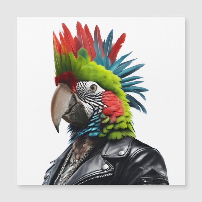 Punk Parrot (Framsida)