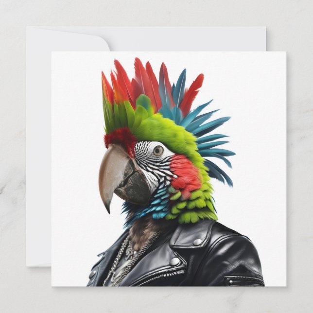 Punk Parrot (Framsida)