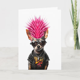 Punk rock chihuahua rosa mohawk hund pappa hund ma kort