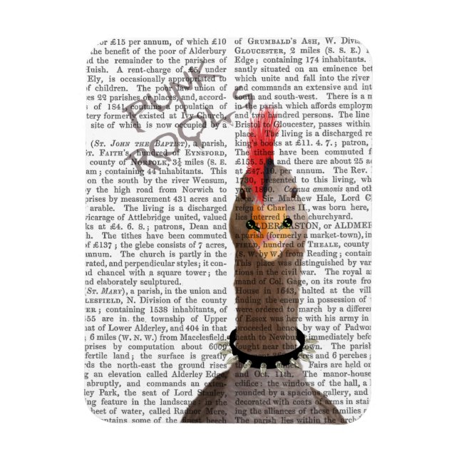 Punk Sten Goose Magnet (Vertikal)