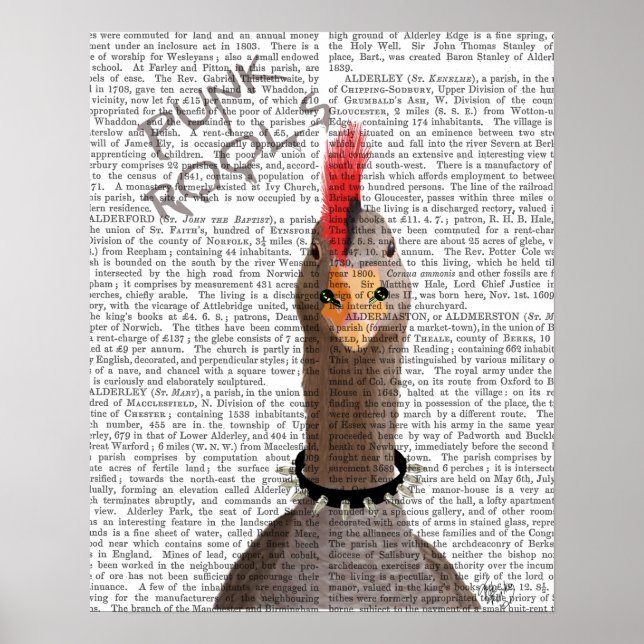 Punk Sten Goose Poster (Framsidan)