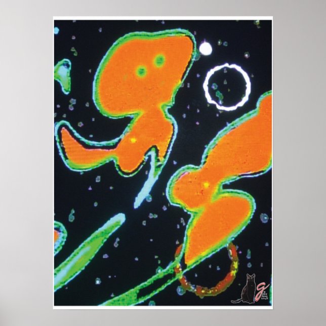 Punkin KC Bild Poster (Framsidan)