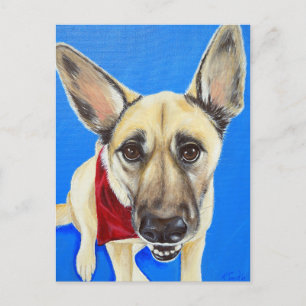 Punkin Painting Vykort