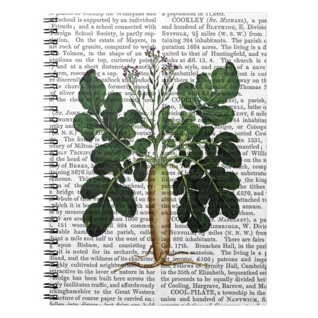 Punkt 3 anteckningsbok med spiral (Framsidan)