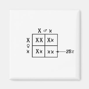 Punnett Square Magnet