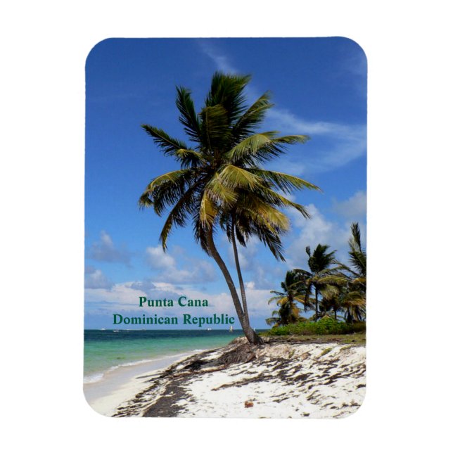 Punta Cana, Dominican Republic, coconut palm tree Magnet (Vertikal)
