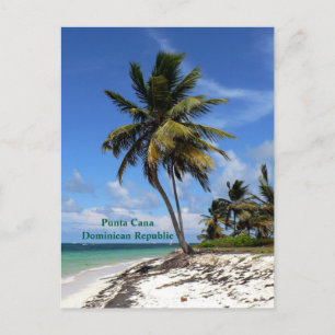 Punta Cana, Dominikanska republiken, kokokosnöt ha Helg Vykort