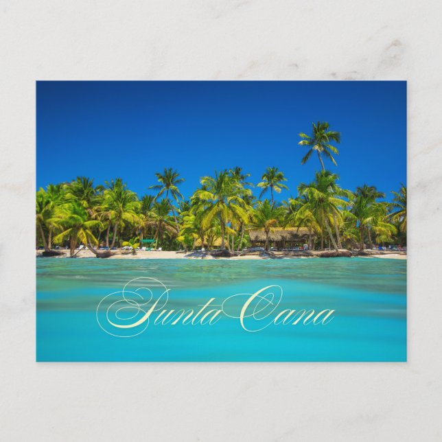 Punta Cana Tropical Palm Trees on Sandy Beach View Vykort (Framsida)