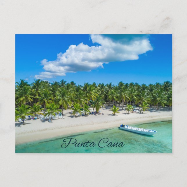 Punta Cana Vacker Tropisk Sandstrand Palmer   Vykort (Framsida)