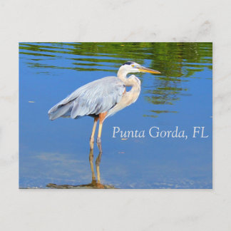 Punta Gorda, FL-vykort Vykort