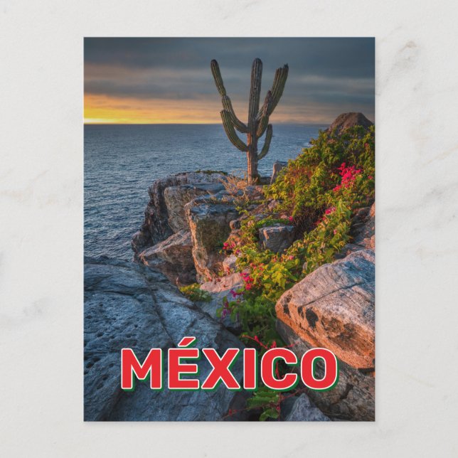 Punta Lobos, Baja California, México Vykort (Framsida)