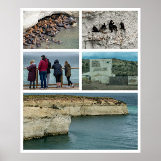 Punta loma fotocollage, chubut-provinsen, argenti poster