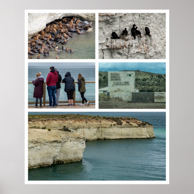 Punta loma fotocollage, chubut-provinsen, argenti poster (Framsidan)