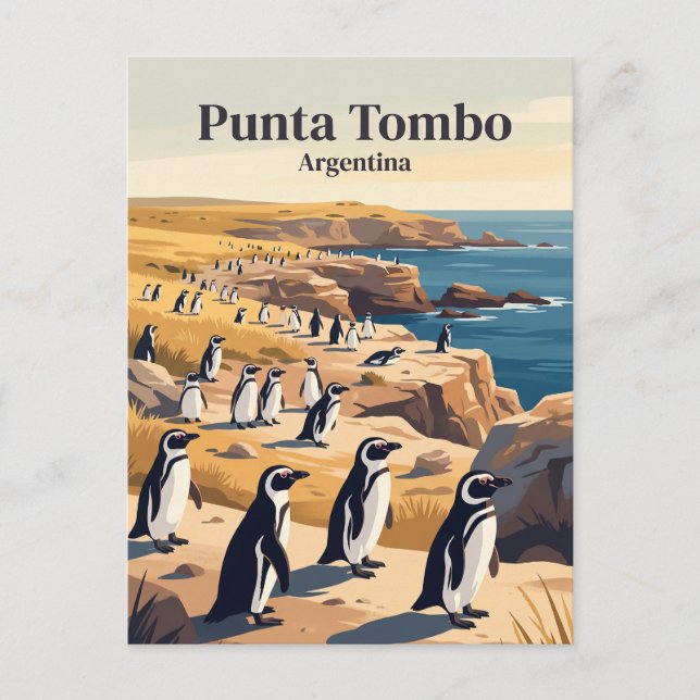 Punta Tombo Argentina Vykort (Framsida)