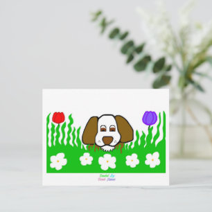 Pup N Play vykort