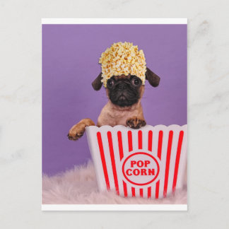 Pupcorn nån? vykort