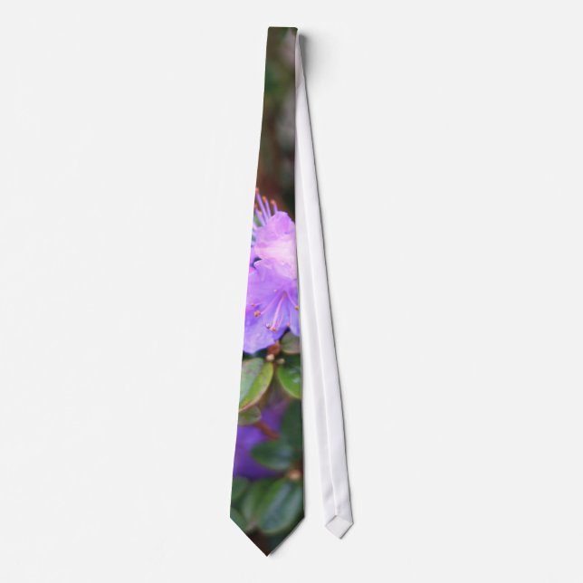 puple azalea blommar bush slips (Framsida)