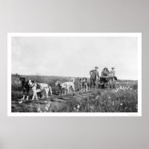 Pupmobile Tåg Nome, Alaska 1906 Poster