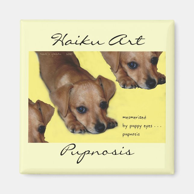 Pupnosis Haiku Art Magnet (Framsidan)